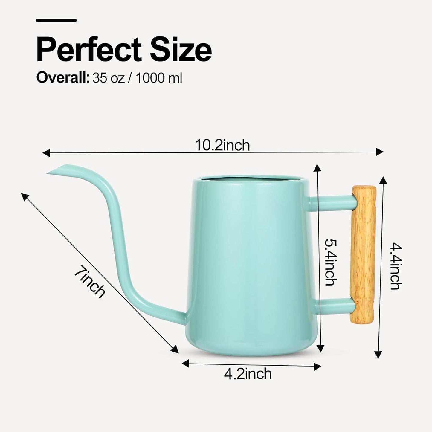 Watering Can for Indoor Plants, 35 oz/1000 ml Metal Stainless Steel Pot with Long Spout for House Plants Bonsai Outdoor Garden Flower Decorative (Black)