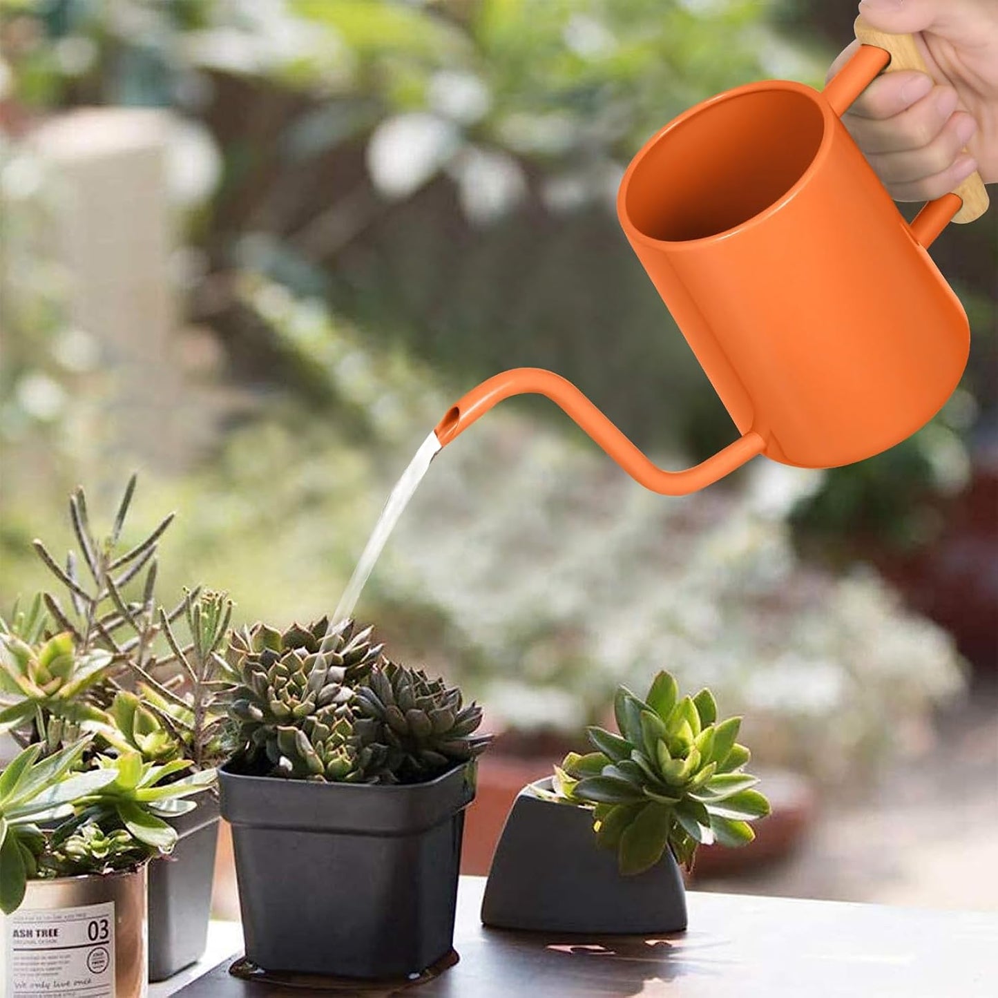 Watering Can for Indoor Plants, 35 oz/1000 ml Metal Stainless Steel Pot with Long Spout for House Plants Bonsai Outdoor Garden Flower Decorative (Black)