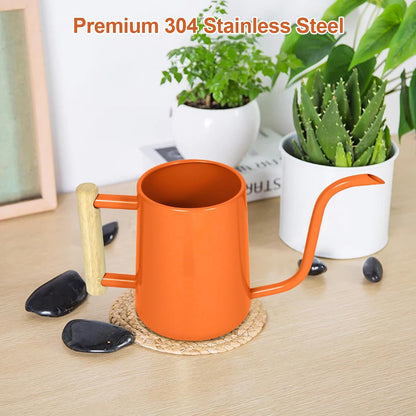Watering Can for Indoor Plants, 35 oz/1000 ml Metal Stainless Steel Pot with Long Spout for House Plants Bonsai Outdoor Garden Flower Decorative (Black)