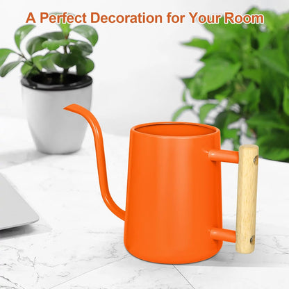 Watering Can for Indoor Plants, 35 oz/1000 ml Metal Stainless Steel Pot with Long Spout for House Plants Bonsai Outdoor Garden Flower Decorative (Black)
