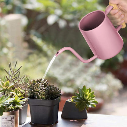Watering Can for Indoor Plants, 35 oz/1000 ml Metal Stainless Steel Pot with Long Spout for House Plants Bonsai Outdoor Garden Flower Decorative (Black)