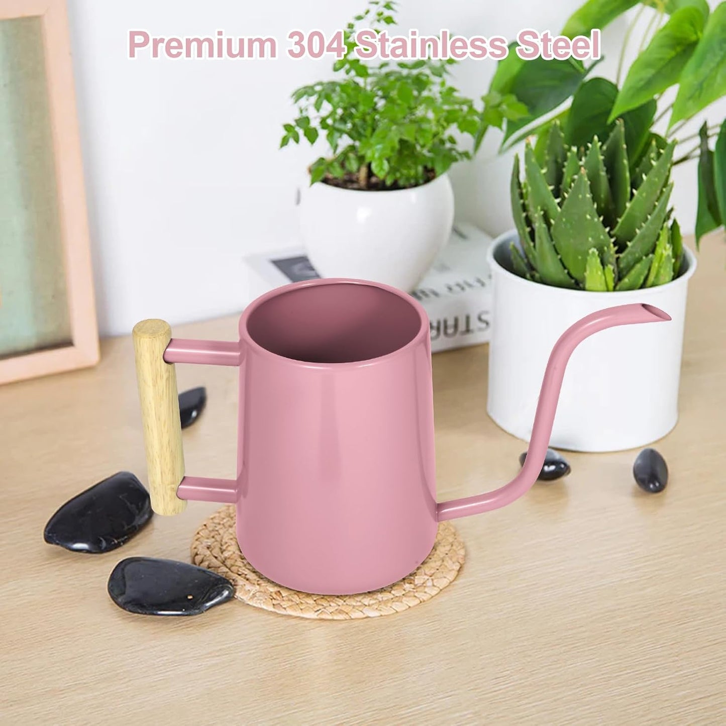 Watering Can for Indoor Plants, 35 oz/1000 ml Metal Stainless Steel Pot with Long Spout for House Plants Bonsai Outdoor Garden Flower Decorative (Black)