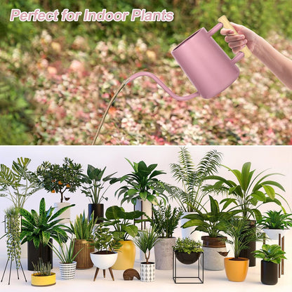 Watering Can for Indoor Plants, 35 oz/1000 ml Metal Stainless Steel Pot with Long Spout for House Plants Bonsai Outdoor Garden Flower Decorative (Black)