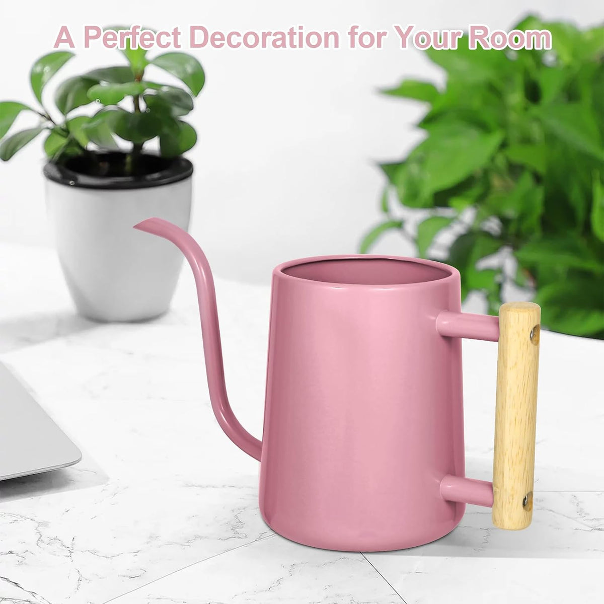 Watering Can for Indoor Plants, 35 oz/1000 ml Metal Stainless Steel Pot with Long Spout for House Plants Bonsai Outdoor Garden Flower Decorative (Black)