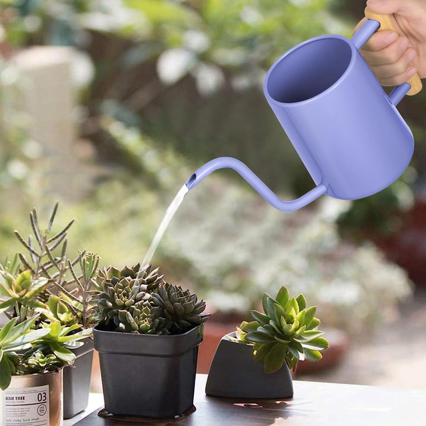 Watering Can for Indoor Plants, 35 oz/1000 ml Metal Stainless Steel Pot with Long Spout for House Plants Bonsai Outdoor Garden Flower Decorative (Black)