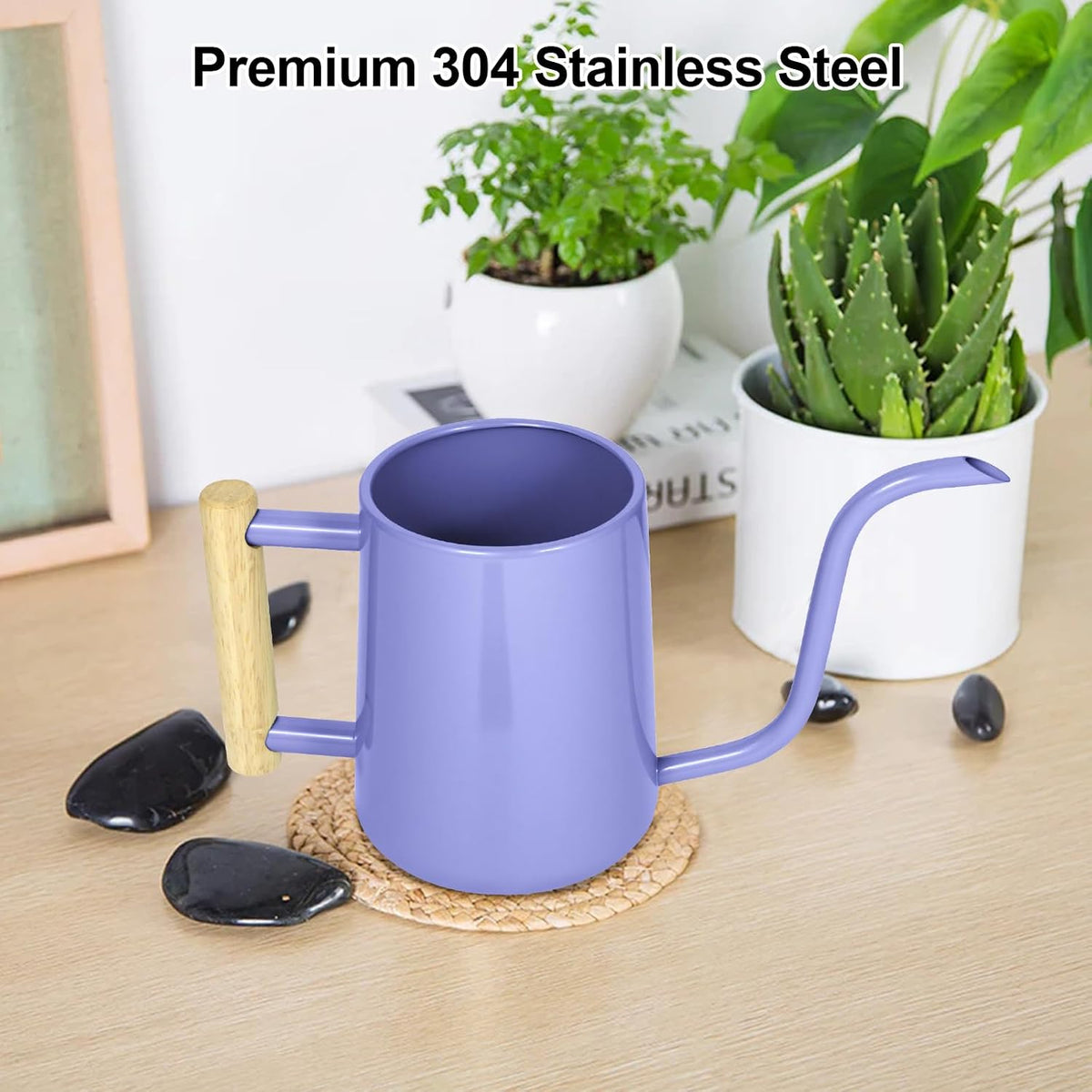 Watering Can for Indoor Plants, 35 oz/1000 ml Metal Stainless Steel Pot with Long Spout for House Plants Bonsai Outdoor Garden Flower Decorative (Black)