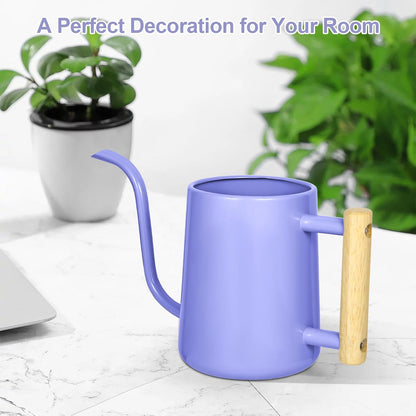 Watering Can for Indoor Plants, 35 oz/1000 ml Metal Stainless Steel Pot with Long Spout for House Plants Bonsai Outdoor Garden Flower Decorative (Black)