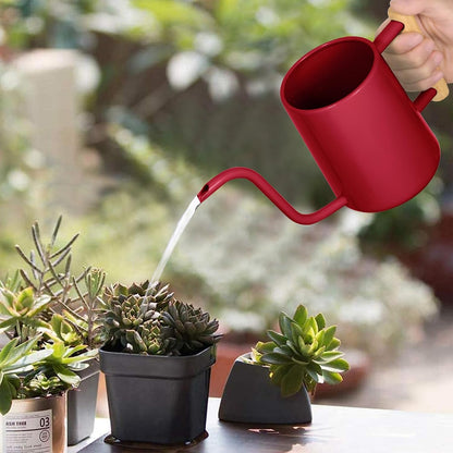 Watering Can for Indoor Plants, 35 oz/1000 ml Metal Stainless Steel Pot with Long Spout for House Plants Bonsai Outdoor Garden Flower Decorative (Black)