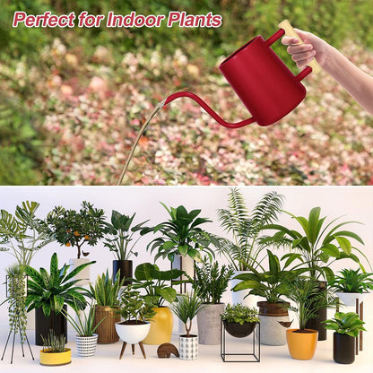 Watering Can for Indoor Plants, 35 oz/1000 ml Metal Stainless Steel Pot with Long Spout for House Plants Bonsai Outdoor Garden Flower Decorative (Black)