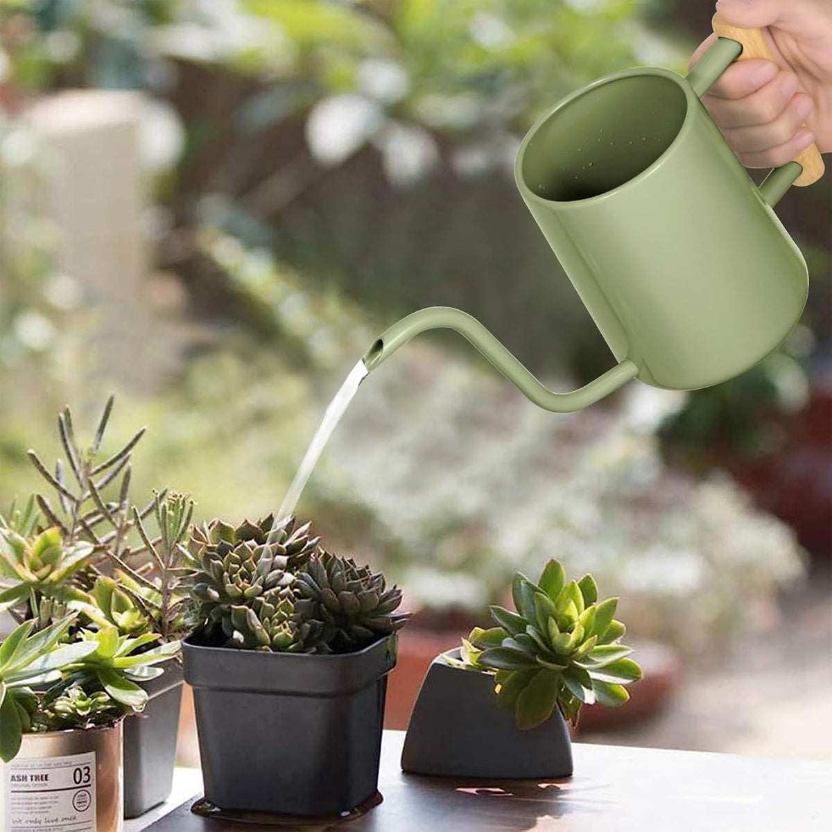 Watering Can for Indoor Plants, 35 oz/1000 ml Metal Stainless Steel Pot with Long Spout for House Plants Bonsai Outdoor Garden Flower Decorative (Black)