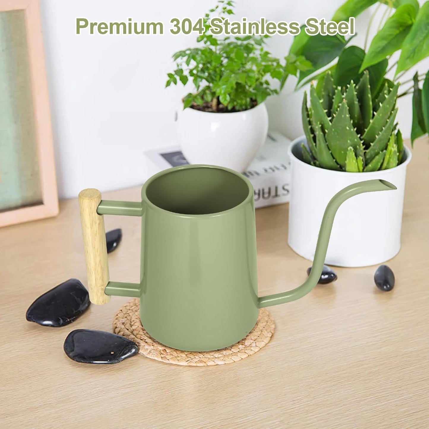 Watering Can for Indoor Plants, 35 oz/1000 ml Metal Stainless Steel Pot with Long Spout for House Plants Bonsai Outdoor Garden Flower Decorative (Black)