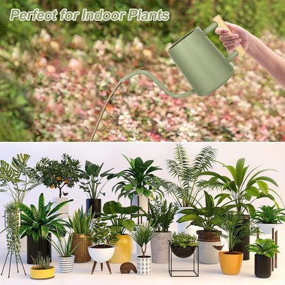 Watering Can for Indoor Plants, 35 oz/1000 ml Metal Stainless Steel Pot with Long Spout for House Plants Bonsai Outdoor Garden Flower Decorative (Black)
