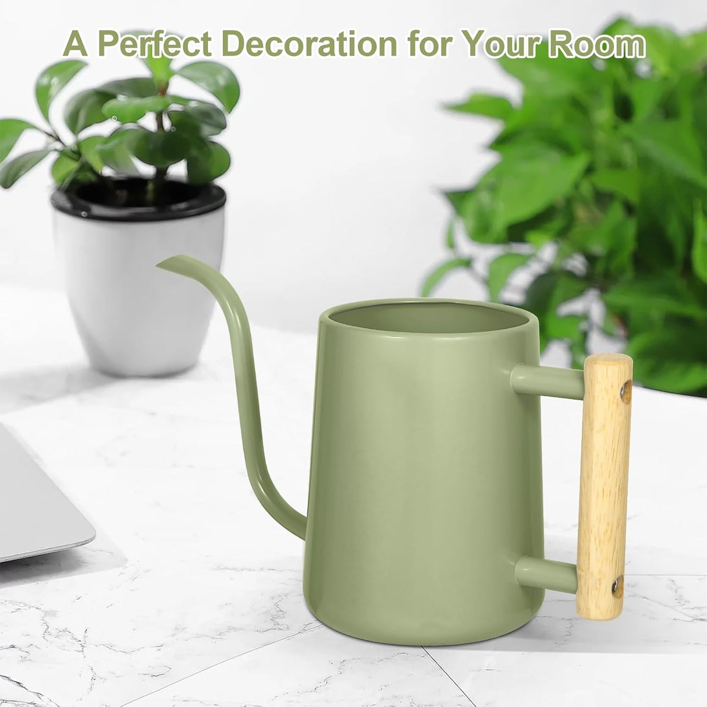 Watering Can for Indoor Plants, 35 oz/1000 ml Metal Stainless Steel Pot with Long Spout for House Plants Bonsai Outdoor Garden Flower Decorative (Black)