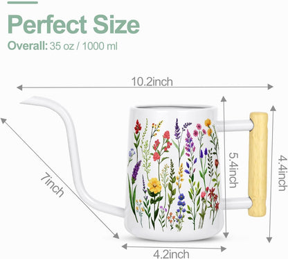 Watering Can for Indoor Plants, 35 oz/1000 ml Metal Stainless Steel Pot with Long Spout for House Plants Bonsai Outdoor Garden Flower Decorative (Black)