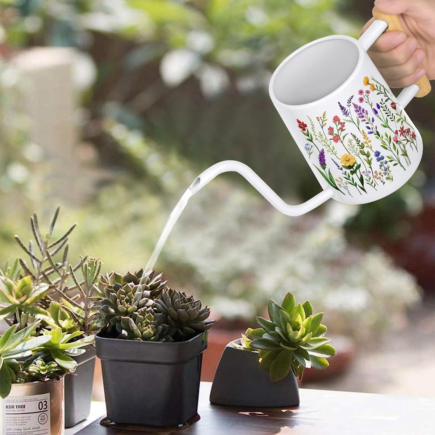 Watering Can for Indoor Plants, 35 oz/1000 ml Metal Stainless Steel Pot with Long Spout for House Plants Bonsai Outdoor Garden Flower Decorative (Black)