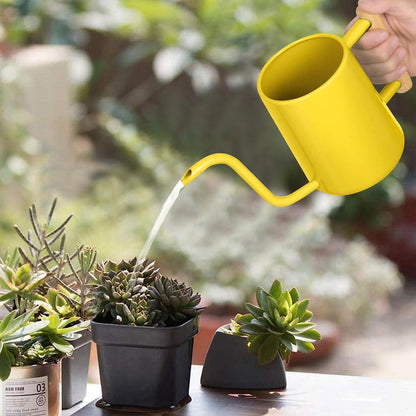 Watering Can for Indoor Plants, 35 oz/1000 ml Metal Stainless Steel Pot with Long Spout for House Plants Bonsai Outdoor Garden Flower Decorative (Black)