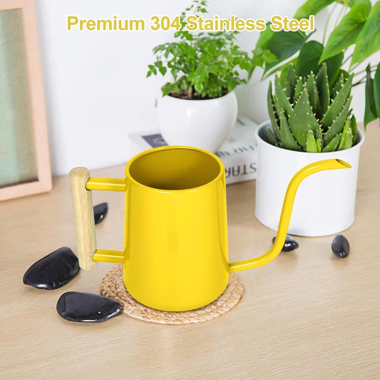 Watering Can for Indoor Plants, 35 oz/1000 ml Metal Stainless Steel Pot with Long Spout for House Plants Bonsai Outdoor Garden Flower Decorative (Black)
