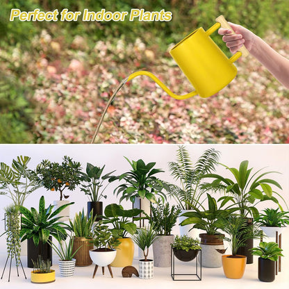 Watering Can for Indoor Plants, 35 oz/1000 ml Metal Stainless Steel Pot with Long Spout for House Plants Bonsai Outdoor Garden Flower Decorative (Black)