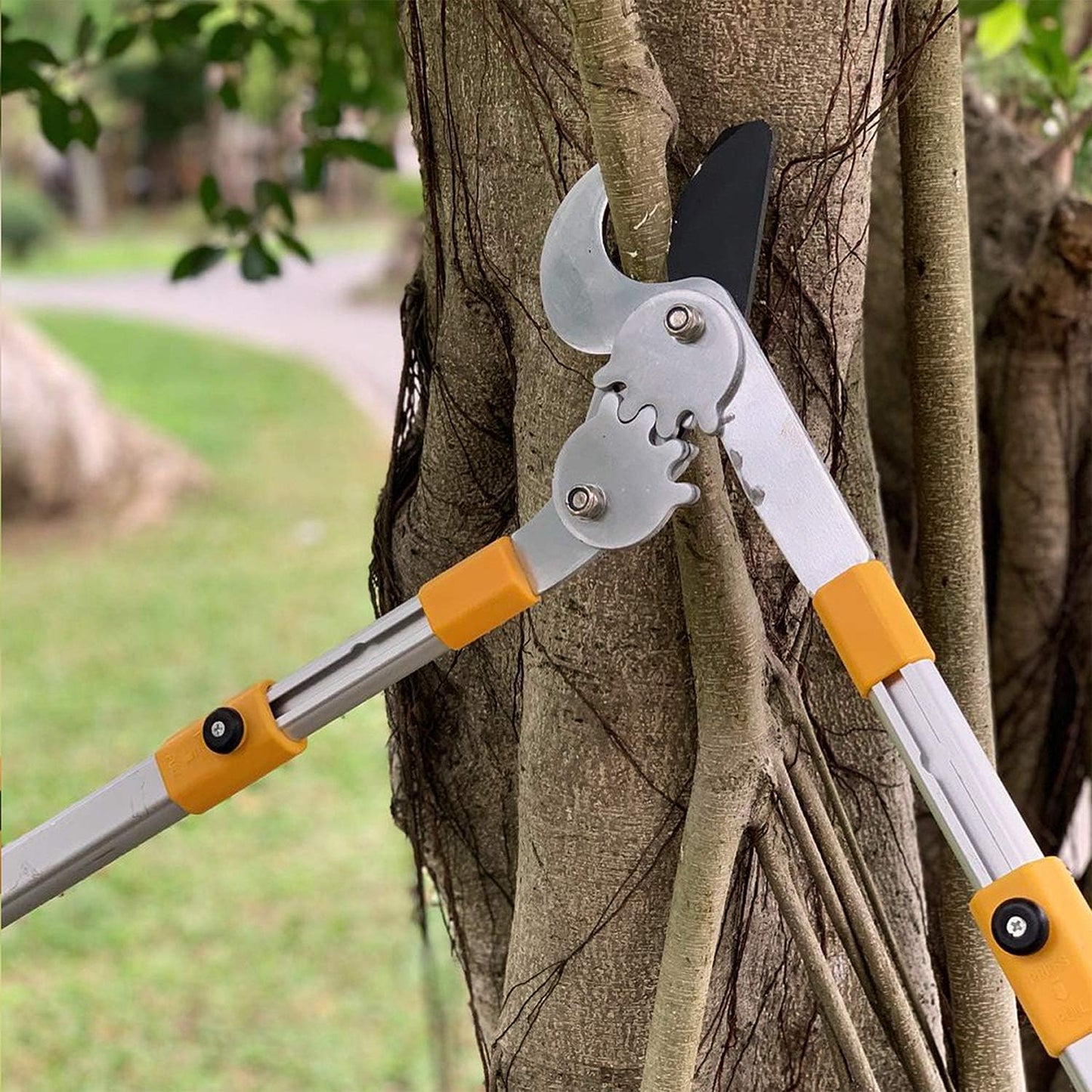 76 Heavy Duty Bypass Lopper 1¾-inch Cut Capacity with Telescoping Aluminum Alloy Handle (Extend to 33 Inch)