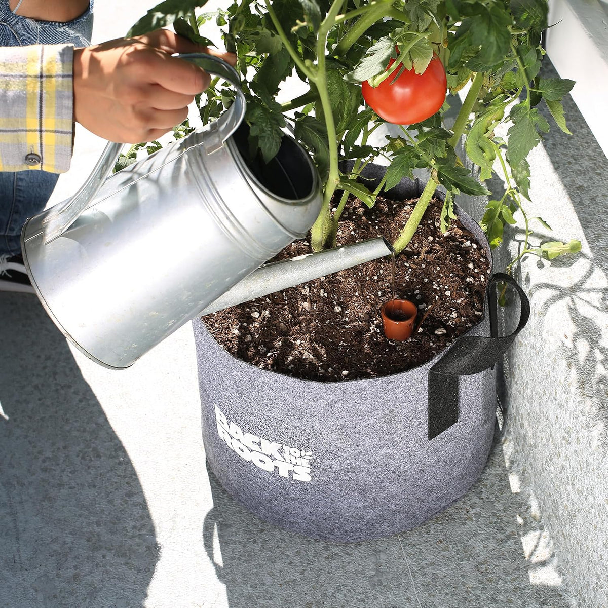 Self-Watering Terracotta Olla Pot (Pack of 3), 700mL Provides 1 Week of Precision Watering