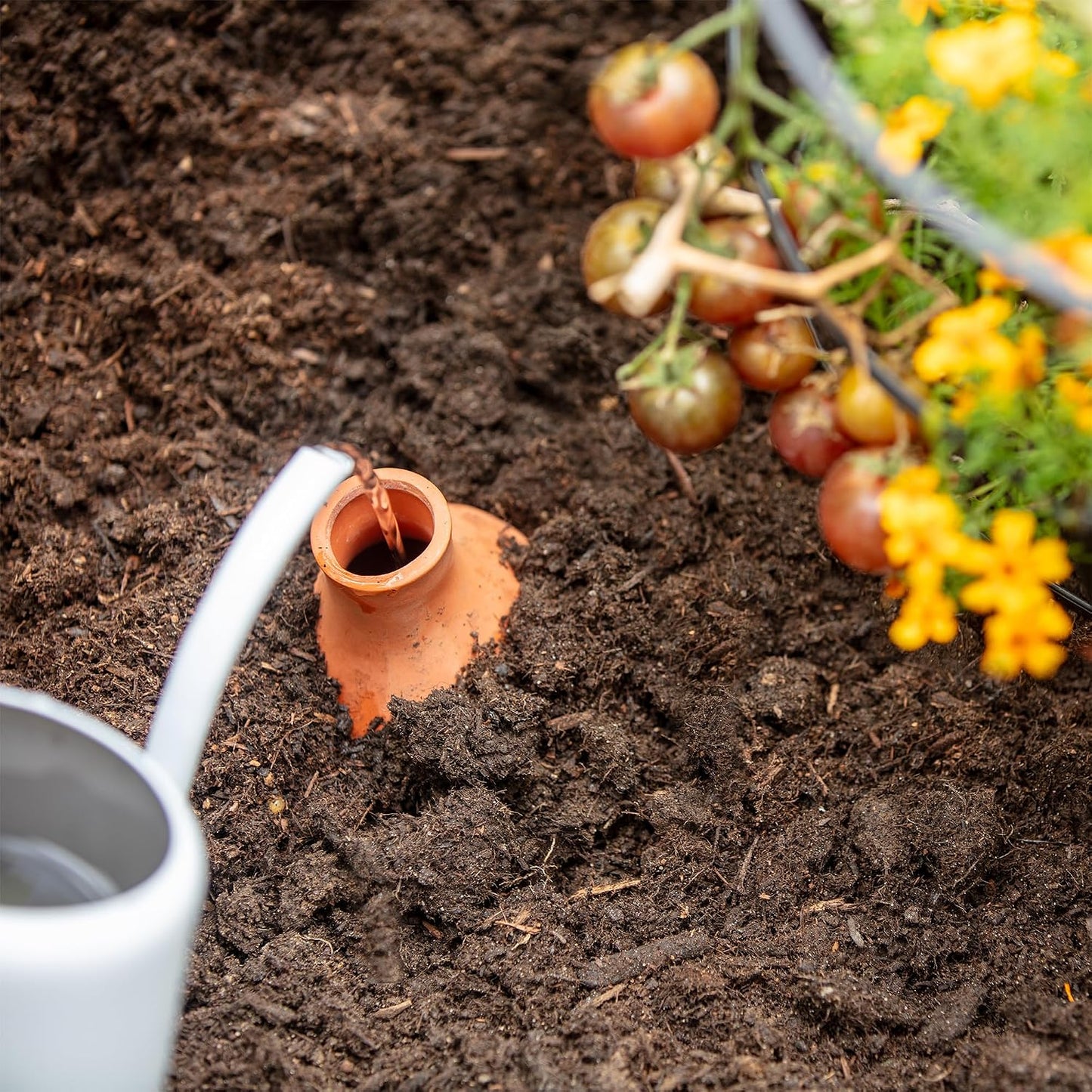 Self-Watering Terracotta Olla Pot (Pack of 3), 700mL Provides 1 Week of Precision Watering