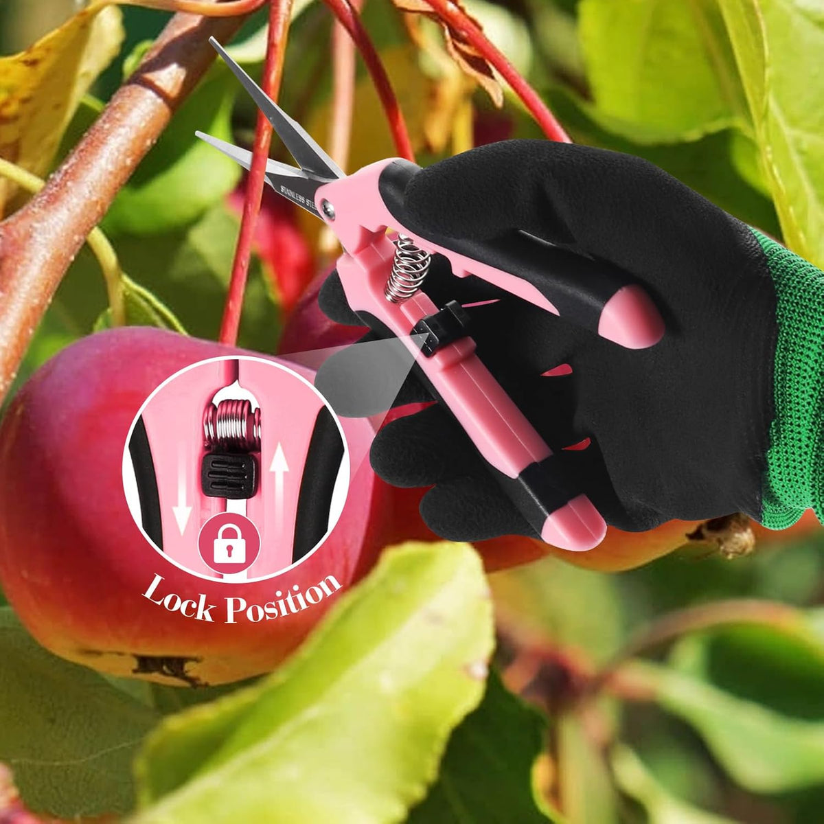 3 Pack Garden Pruning Shears Stainless Steel Blades Handheld Pruners Set with Gardening Gloves