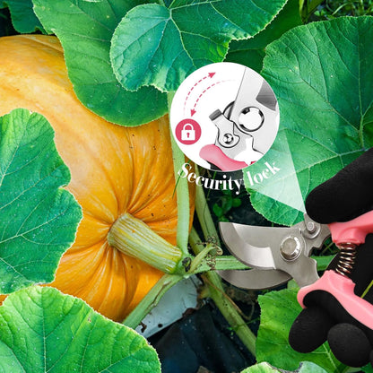 3 Pack Garden Pruning Shears Stainless Steel Blades Handheld Pruners Set with Gardening Gloves
