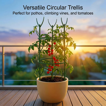 10-Pack Monstera Plant Support Stakes - Stackable Sticks