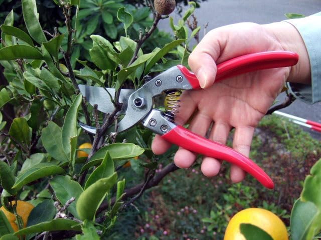 HP-VS9Z Signature Heavy Duty Pruner