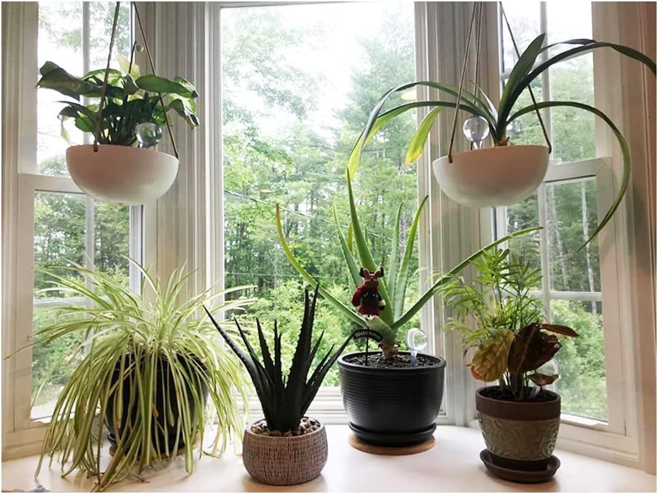 10 Pack Clear Plant Watering Globes,Plastic Self Watering Bulbs for Indoor Plants,Garden Water Device Automatic Plant Waterer Indoor Outdoor