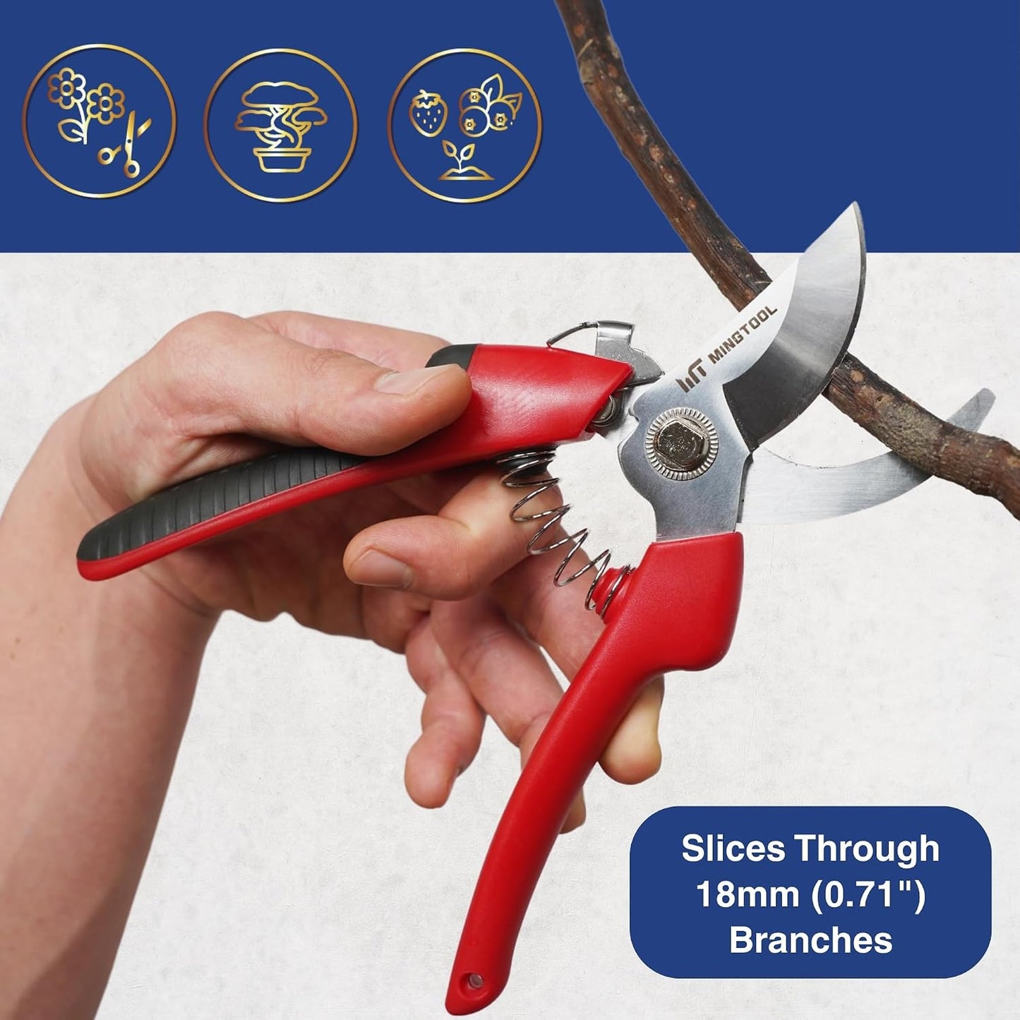 Professional 8-Inch Pruning Shears, Premium Carbon Steel Blade, Heavy Duty Hand Pruner (18mm Cut Capacity), Durable Tool for Serious Gardening.