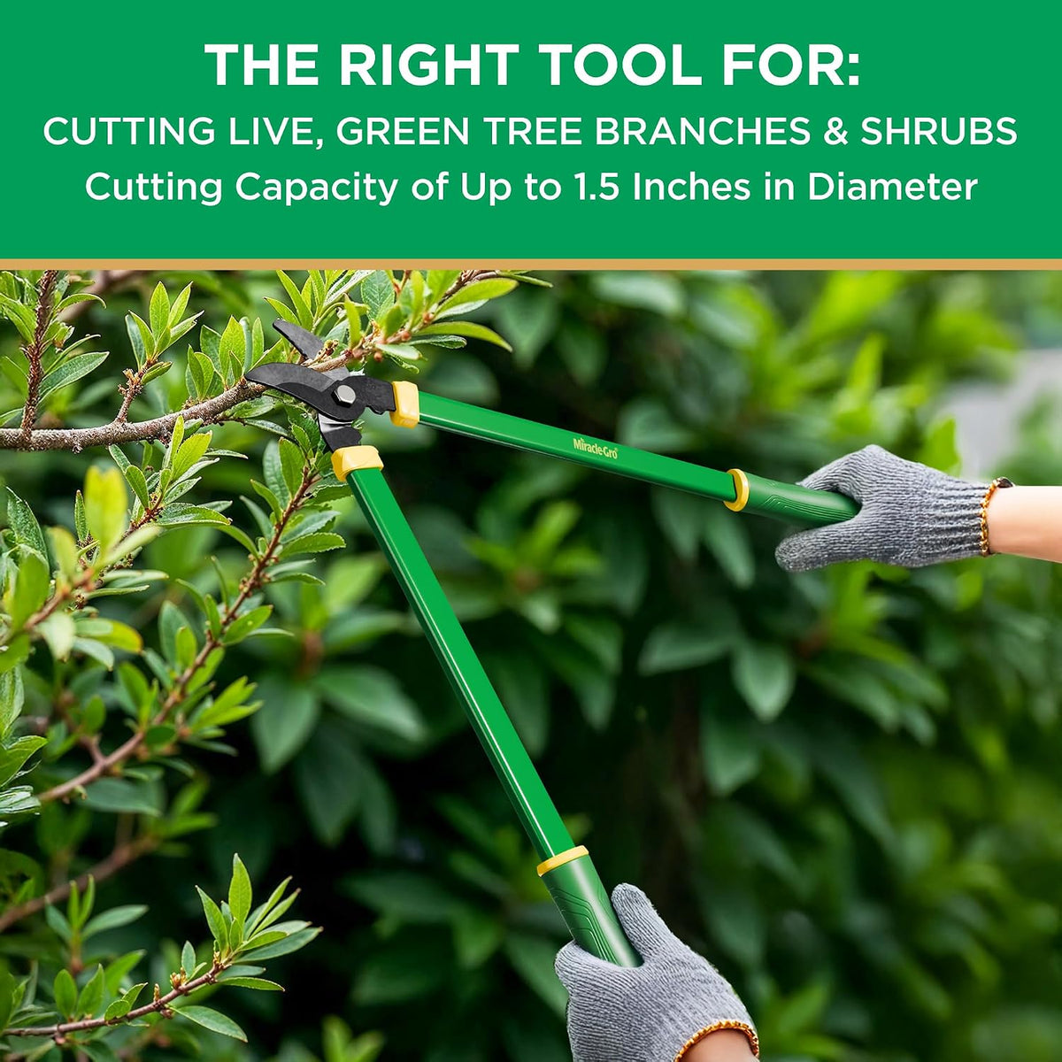 24 in. Bypass Lopper for Tree Branch Trimming and Pruning – Heavy-Duty Branch Cutter with Ultra-Sharp Carbon Steel Blade, 1.5 in. Cutting Capacity and Comfort Grip Handles