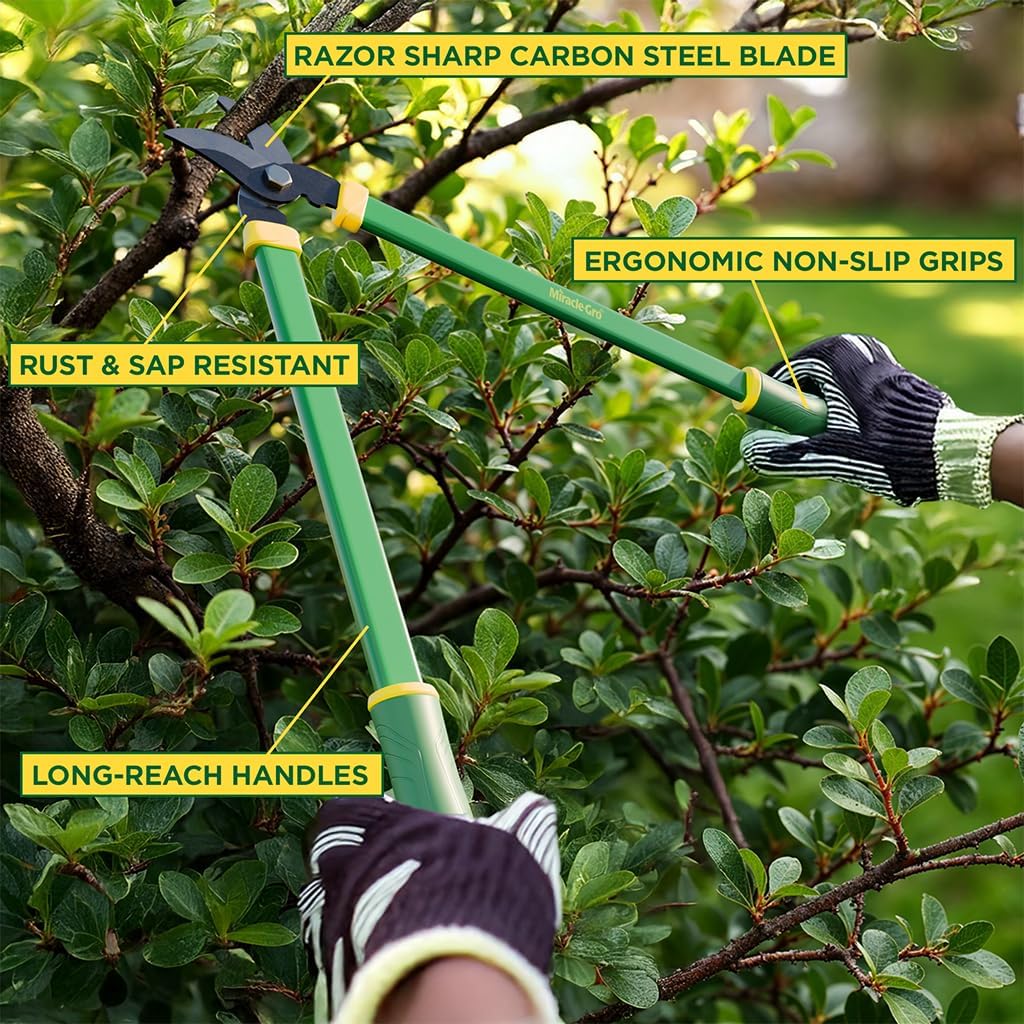 24 in. Bypass Lopper for Tree Branch Trimming and Pruning – Heavy-Duty Branch Cutter with Ultra-Sharp Carbon Steel Blade, 1.5 in. Cutting Capacity and Comfort Grip Handles