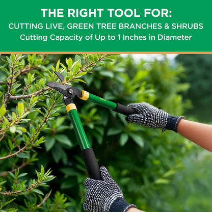 24 in. Bypass Lopper for Tree Branch Trimming and Pruning – Heavy-Duty Branch Cutter with Ultra-Sharp Carbon Steel Blade, 1.5 in. Cutting Capacity and Comfort Grip Handles