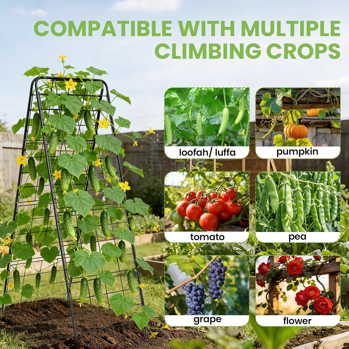 Garden Trellis for Cucumbers, 50 x 16 Inch Adjustable A-Frame Plant Support for Climbing Plants Outdoor, Vegetable, Flowers, Heavy Duty 1cm Metal Vegetable Trellis for Backyard, Raised Bed, Patio