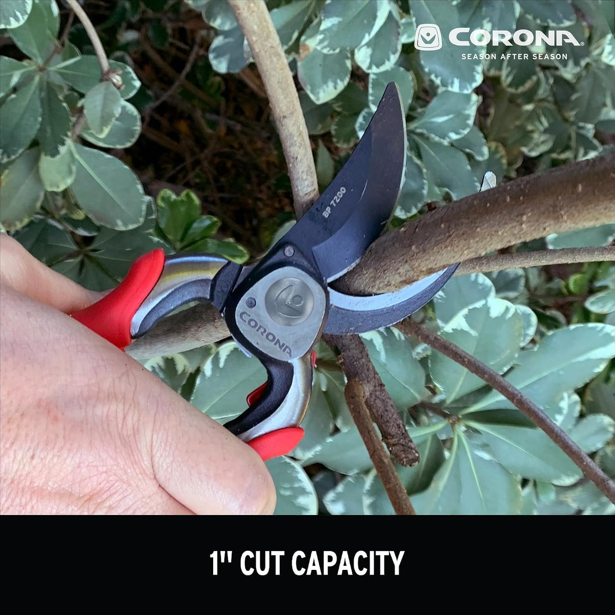 Corona BP 7200 Forged Pro Cut Bypass Hand Pruner, 1-Inch, Red
