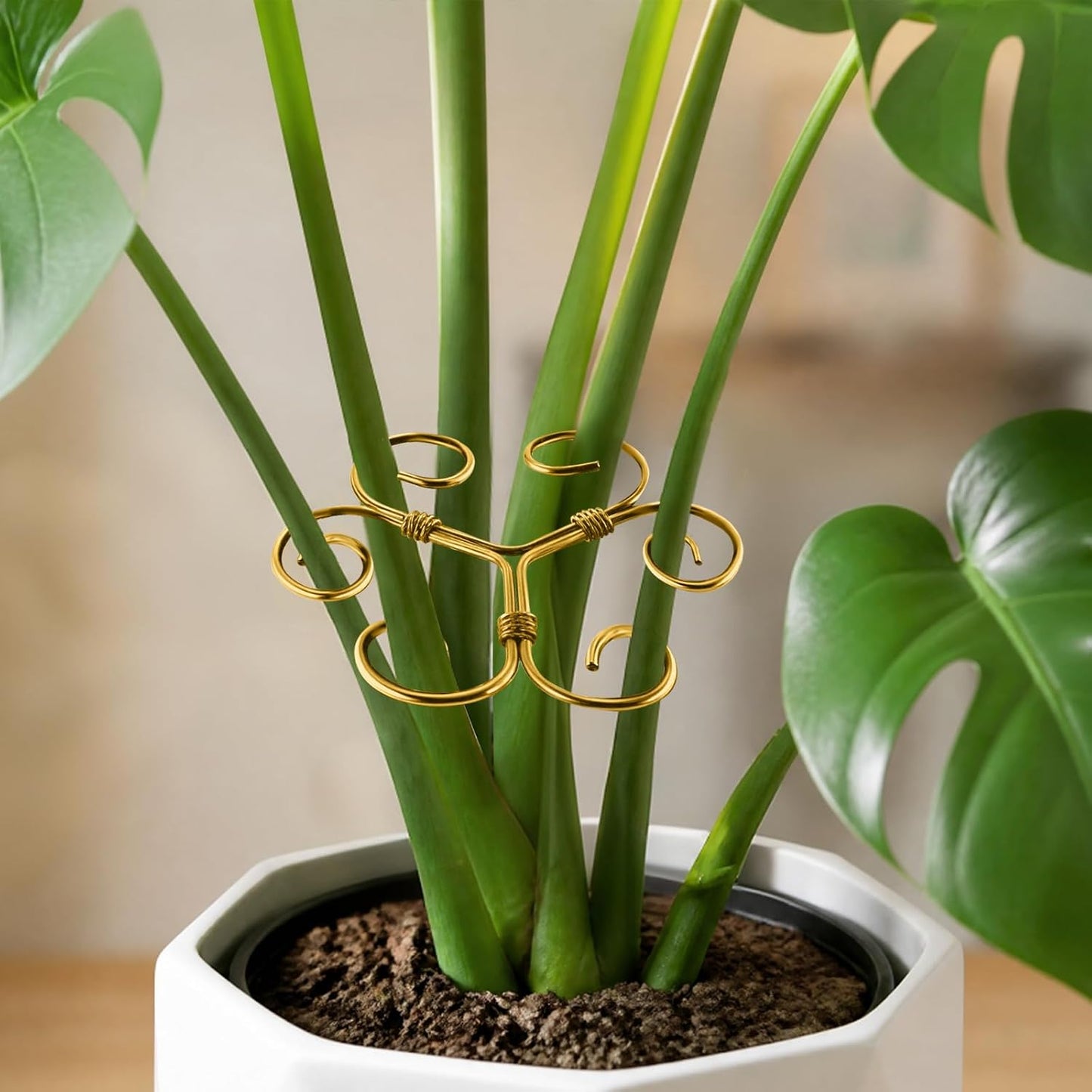 5PCS Iron Monstera Plant Support, Plant Stem Support, Turtle Shell Bamboo Clamp Set, Stable Plant Support Stakes for Indoor Plant, Ideal Present for Plant Lovers (5 Pcs-4.1INX4.1IN)