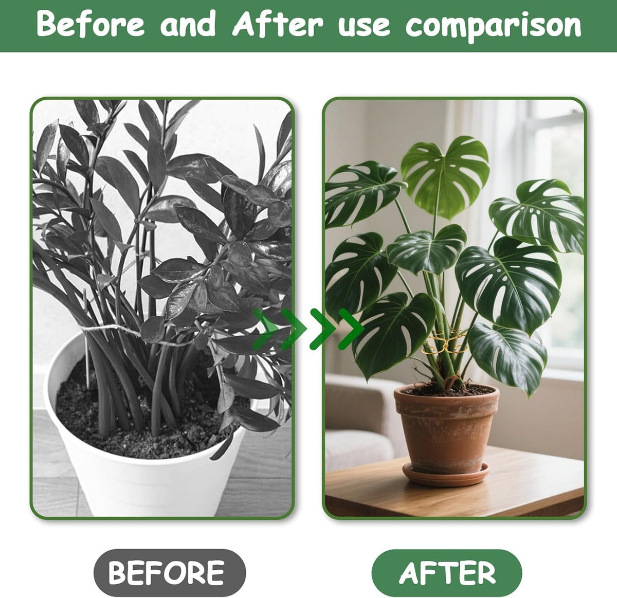 5PCS Iron Monstera Plant Support, Plant Stem Support, Turtle Shell Bamboo Clamp Set, Stable Plant Support Stakes for Indoor Plant, Ideal Present for Plant Lovers (5 Pcs-4.1INX4.1IN)