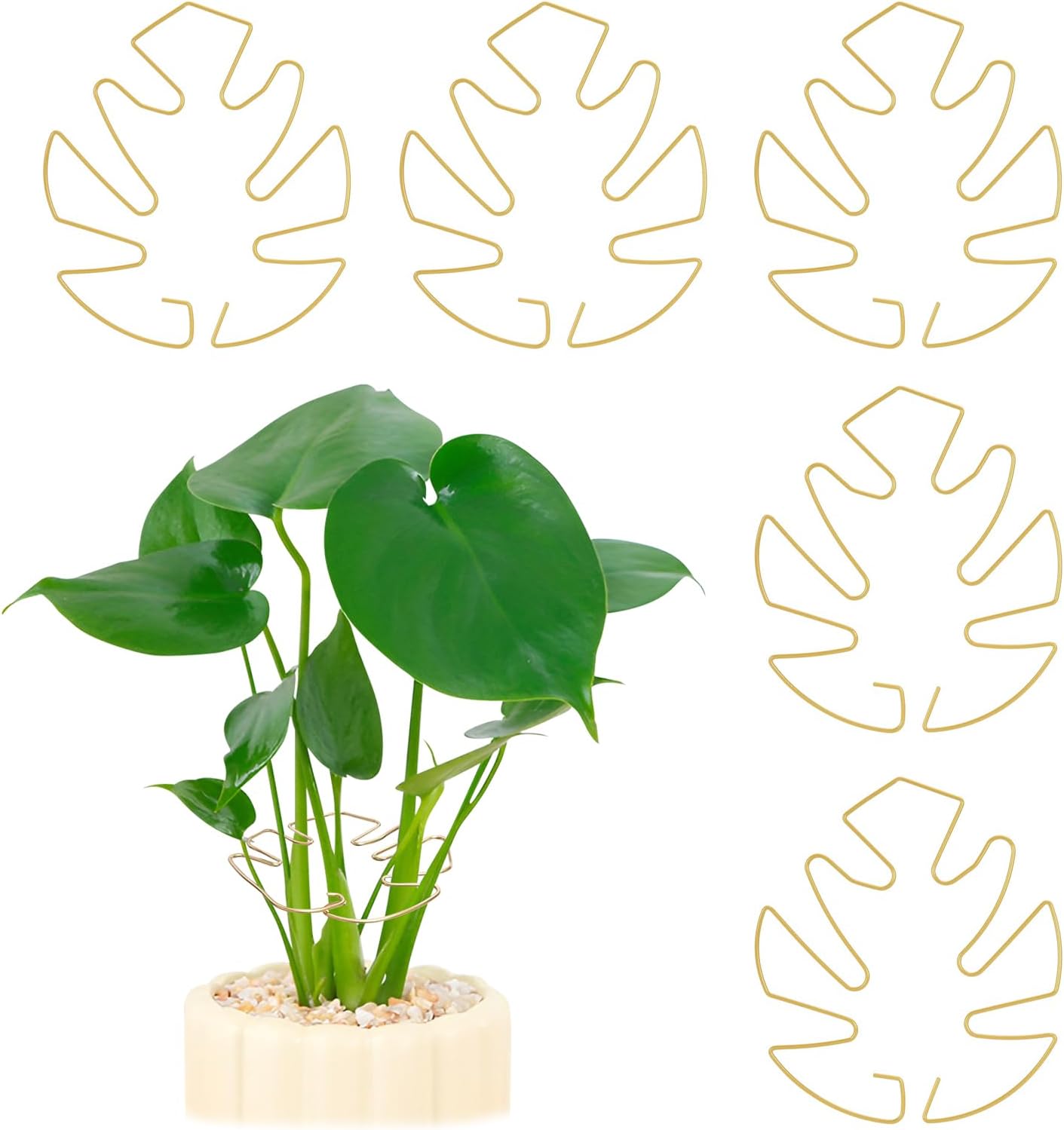 5PCS Iron Monstera Plant Support, Plant Stem Support, Turtle Shell Bamboo Clamp Set, Stable Plant Support Stakes for Indoor Plant, Ideal Present for Plant Lovers (5 Pcs-4.1INX4.1IN)