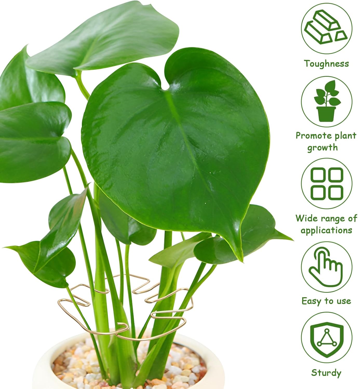 5PCS Iron Monstera Plant Support, Plant Stem Support, Turtle Shell Bamboo Clamp Set, Stable Plant Support Stakes for Indoor Plant, Ideal Present for Plant Lovers (5 Pcs-4.1INX4.1IN)