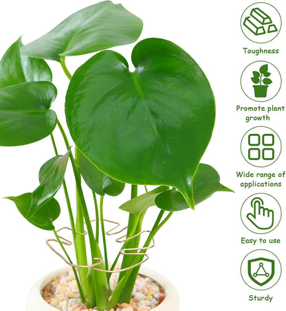 5PCS Iron Monstera Plant Support, Plant Stem Support, Turtle Shell Bamboo Clamp Set, Stable Plant Support Stakes for Indoor Plant, Ideal Present for Plant Lovers (5 Pcs-4.1INX4.1IN)