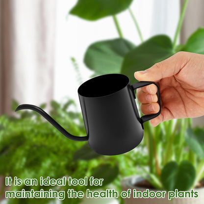 Small Stainless Steel Watering Can for Indoor Plants, 12oz/350ml Mini Plant Watering Pot with Long Spout & Ergonomic Handle for Houseplants, Succulents & Bonsai