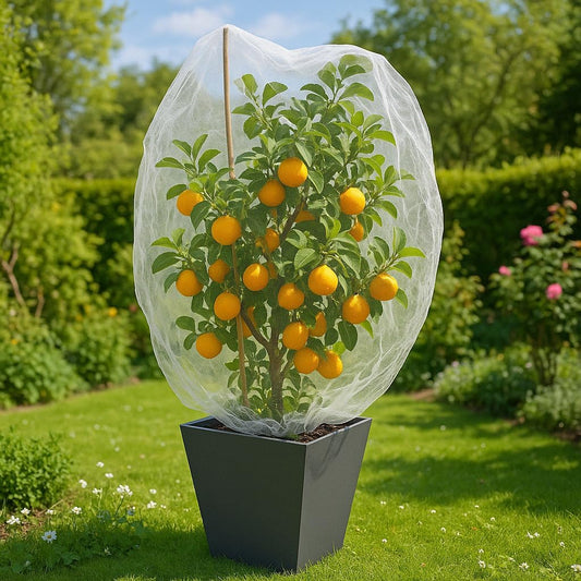 Fruit Tree Protection Bags 4x4.5 FT | Pack of 4 Garden & Insect Netting