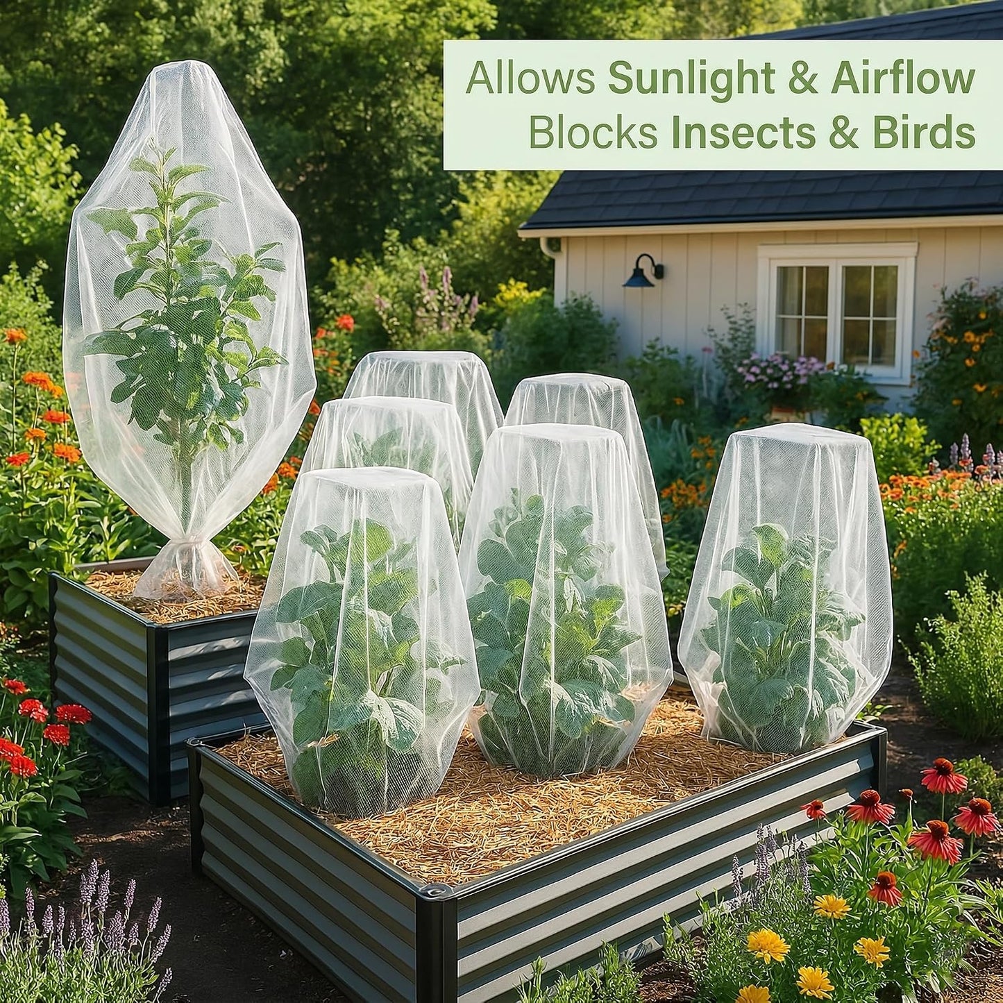 Fruit Tree Protection Bags 4x4.5 FT | Pack of 4 Garden & Insect Netting