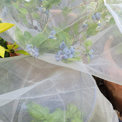 Fruit Tree Protection Bags 4x4.5 FT | Pack of 4 Garden & Insect Netting