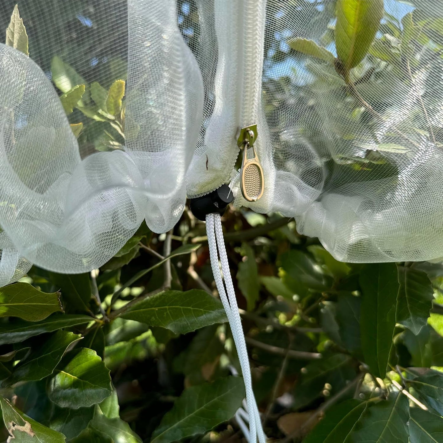 Fruit Tree Protection Bags 4x4.5 FT | Pack of 4 Garden & Insect Netting