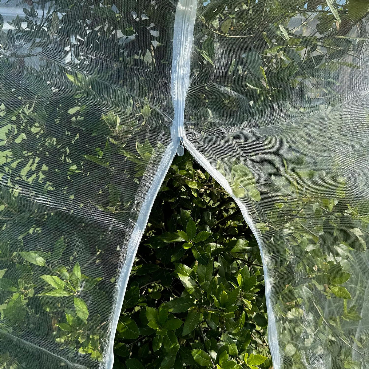 Fruit Tree Protection Bags 4x4.5 FT | Pack of 4 Garden & Insect Netting