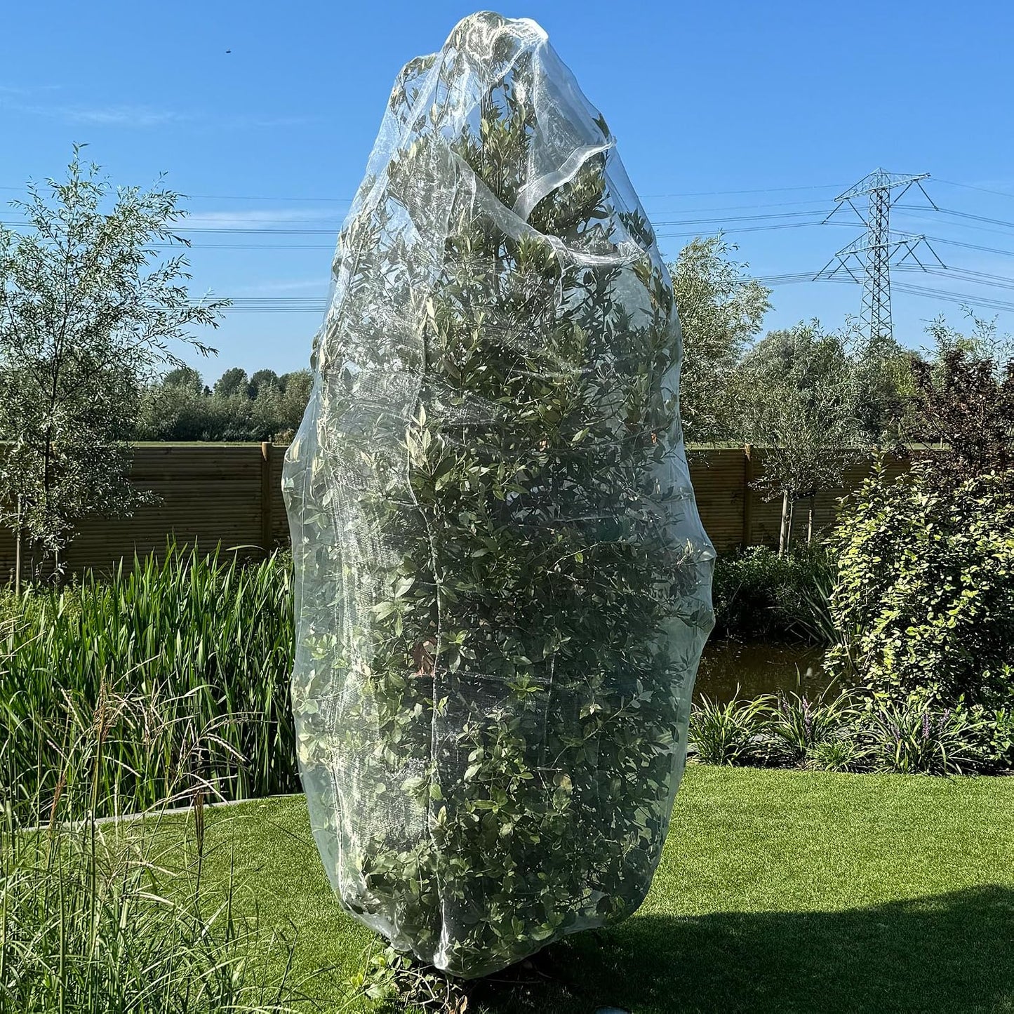 Fruit Tree Protection Bags 4x4.5 FT | Pack of 4 Garden & Insect Netting