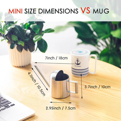 Mini Watering Can for Indoor Plants Stainless Steel Small Watering Can 11oz/300ml