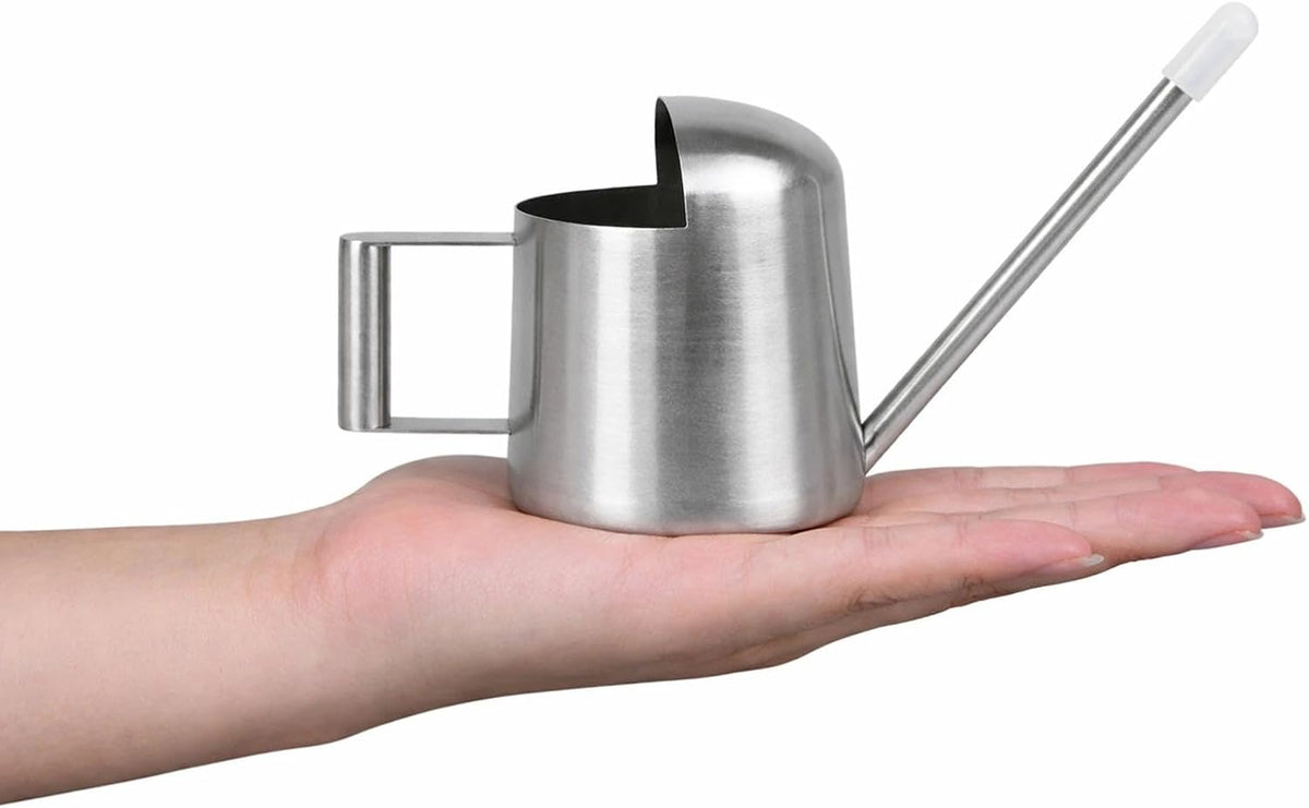 Mini Watering Can for Indoor Plants Stainless Steel Small Watering Can 11oz/300ml